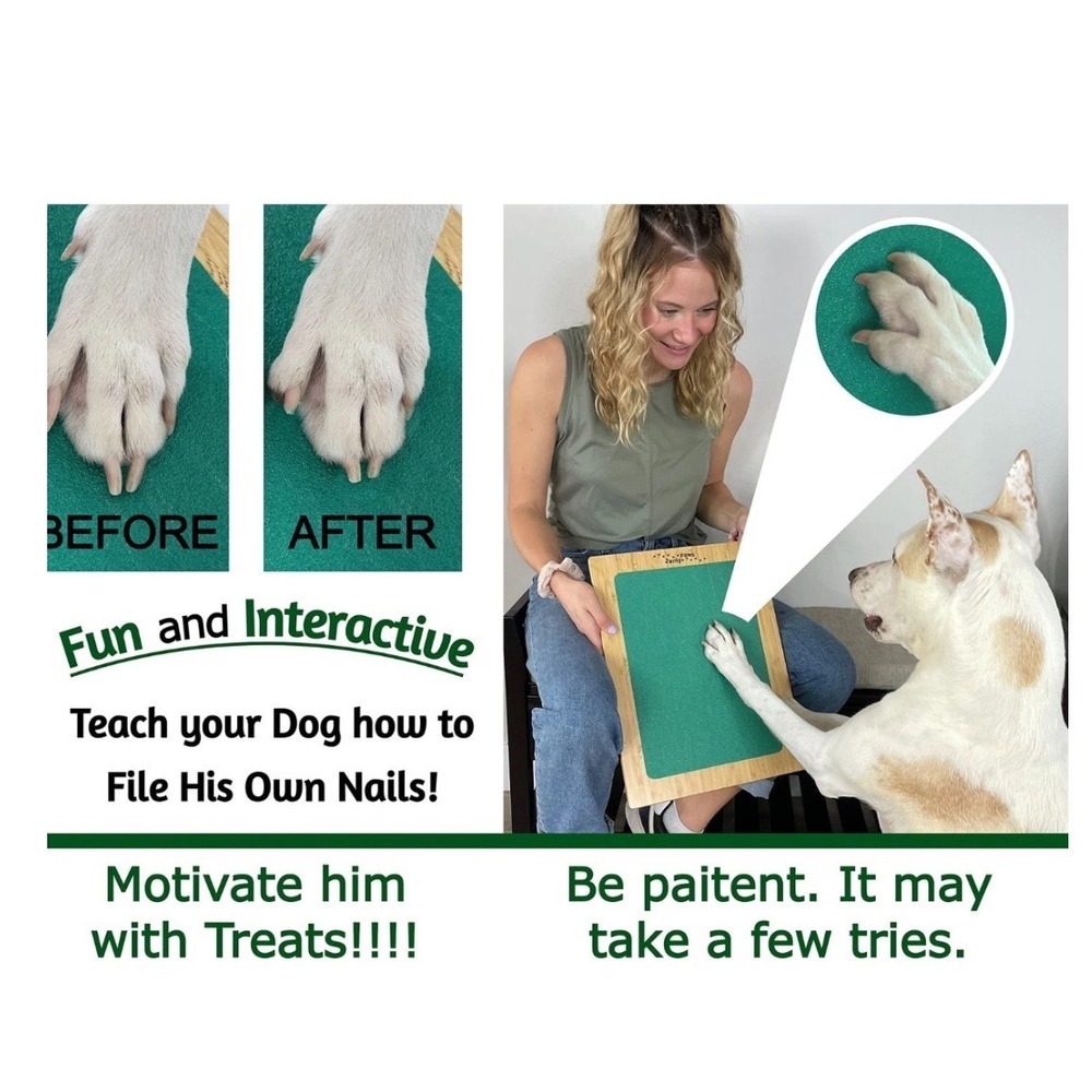 Zenly Paws Bamboo Dog Nail Scratch Board Green with 2 Replacement‎ Pads - Picture 12 of 12